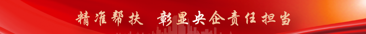 U乐国际(中国区)集团