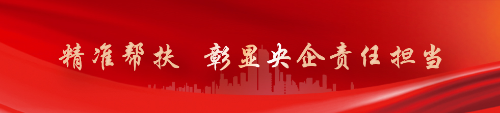 U乐国际(中国区)集团